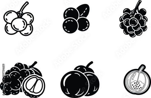 black and white illustrations of various types of fruit on white background