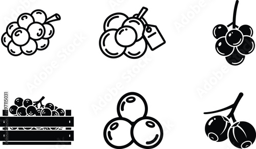 Grapes illustrations in various styles and arrangements on white background