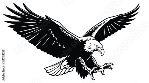 an impressive black and white eagle in flight wings spread wide silhouette
