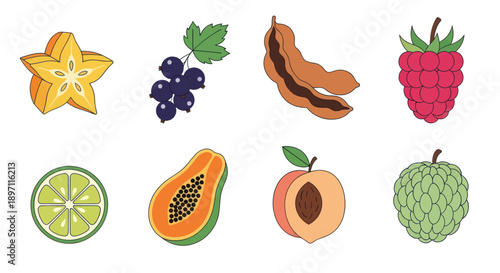 Colorful collection of fresh fruit illustrations