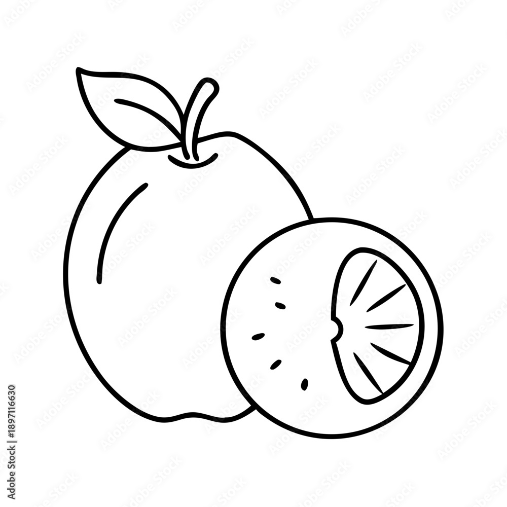 Obraz premium Apple Fruit Line Icon Illustration 