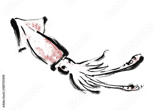 烏賊の和風筆イラスト素材