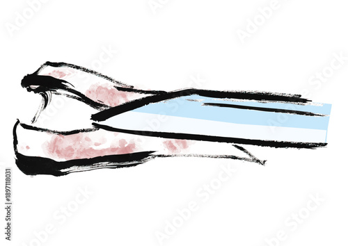 烏賊を捌く和風筆イラスト素材