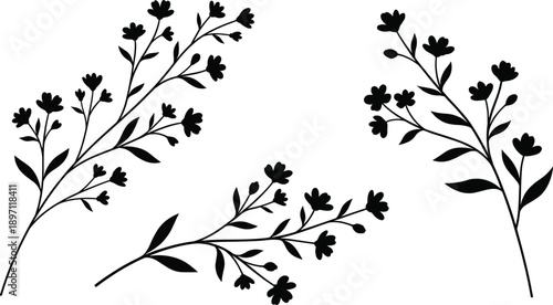 Elegant black wild flower branch silhouettes, minimalist floral sketch set, botanical garden elements for nature design, wedding invites, and greeting cards