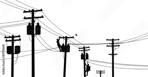 Silhouette of utility poles with transformers and a bird on a wire electricity power line