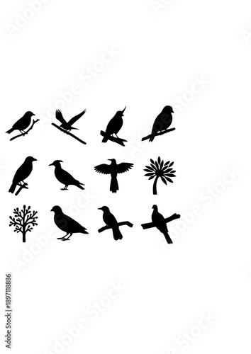 Bird Watching Vector Set - Black Silhouette Illustrations, Birdwatching Graphics, Wildlife Icons, Nature Hobby Design Elements