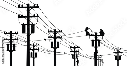 Silhouettes of workers on electrical poles with transformers and bird electricity power