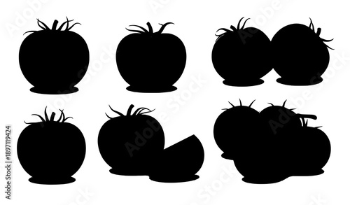 Fresh red tomato vector illustration set with slices and vine