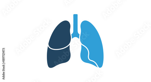 Human Lungs Anatomical Medical Organ Healthcare Logo on an Isolated White Background.