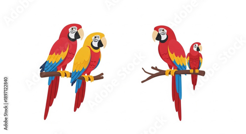 Two Pairs of Colorful Macaw Parrots Perched on Branches.