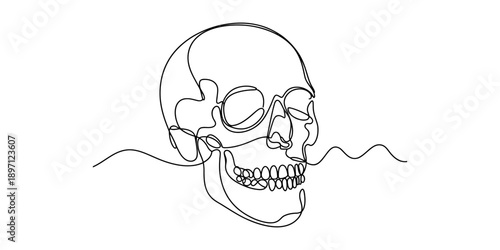 A minimalist illustration of a human skull drawn with a single continuous line art technique isolated on white background, Vector, illustration