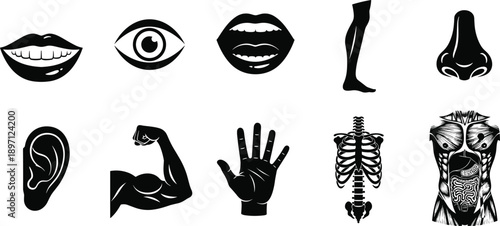 Human body parts icons set mouth eye lips leg nose ear hand skeleton torso anatomical silhouettes vector isolated background