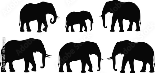 Herd of Elephants Silhouettes