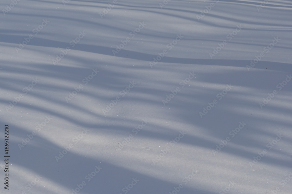 Obraz premium Winter forest covered with fresh snow.