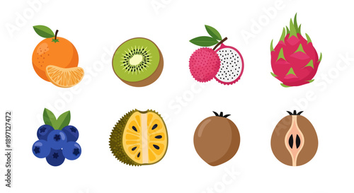 Assorted colorful fruits illustration on white