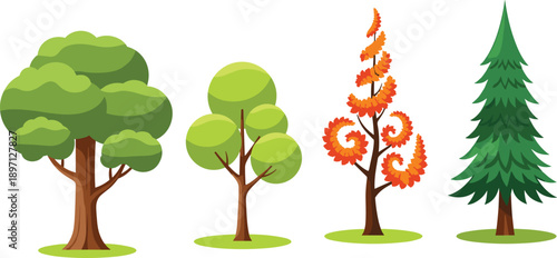 Tree set flat vector illustration seasons deciduous evergreen autumn foliage nature forest cartoon isolated design elements collection greenery