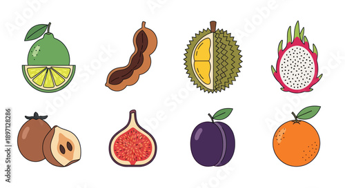 Assorted tropical fruit illustrations