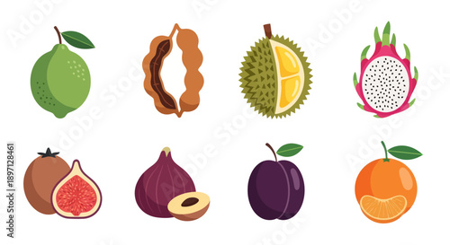 Assortment of colorful tropical fruit illustrations