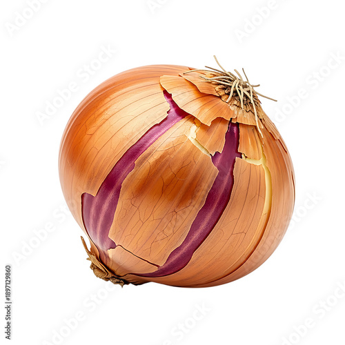 Appealing raw golden onion close-up studio shot on transparent background