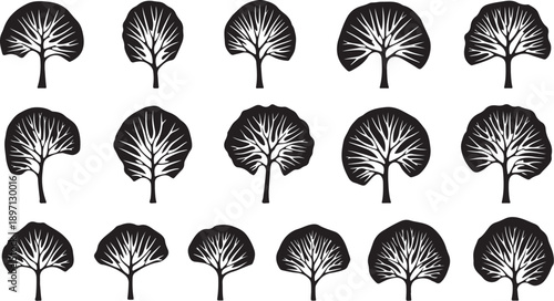 Black and white palm tree leaf pattern illustration design