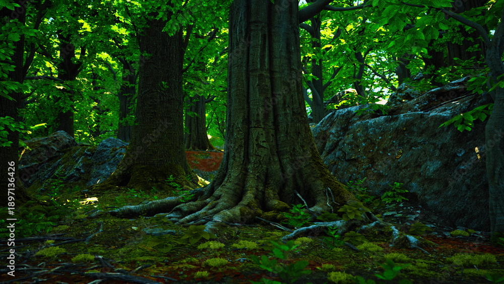Obraz premium In this enchanting forest, massive trees tower above lush green undergrowth. Sunlight filters through leaves, creating a serene atmosphere filled with life and tranquility.