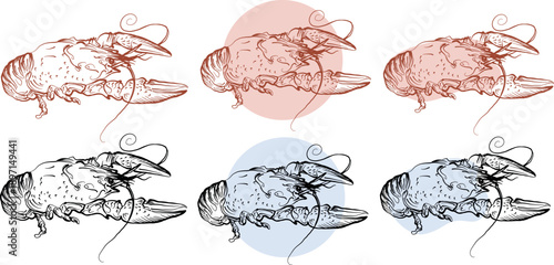 Vector Outlines: Crayfish Design Elements Collection