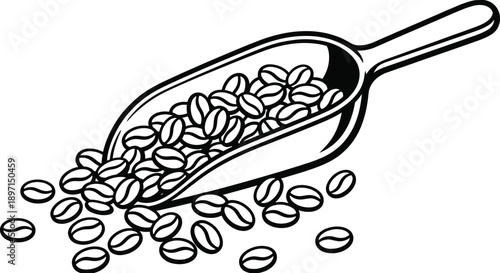 Coffee Beans in Scoop, Black and White Illustration, Simple Design