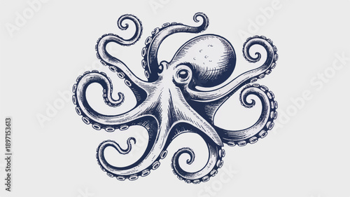A detailed navy blue and white illustration of an octopus in a vintage nautical style (2)_traced