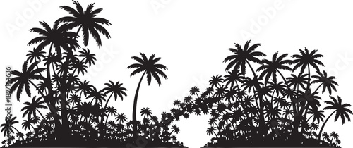 Silhouette of tropical palm trees on white background