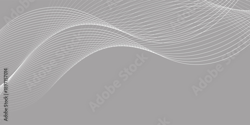 Abstract background with waves for banner. Medium banner size. Vector background with lines. Gray and white color. Interior. Brochure, booklet