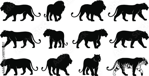 Collection of wild big cat silhouettes featuring lions, tigers, and panthers in walking poses, minimalist black animal vector icons for logos. (20 words)
