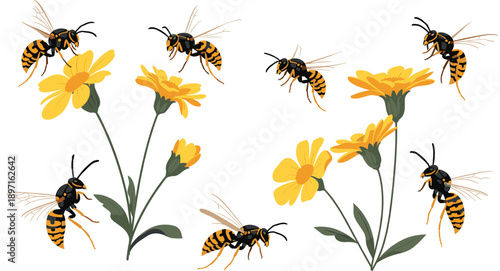 Bee and Flower Illustration Set with Pollinating Honey Bees on Yellow Blossoms for Nature, Ecology, Gardening, and Spring Botanical Design