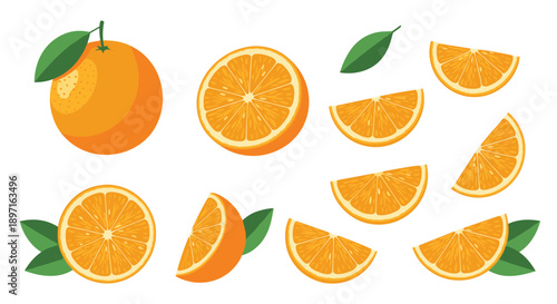 Vibrant collection of orange fruit illustrations includes whole oranges, halves, slices, and green leaves on a white background.