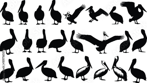 PrintCollection of male and female head silhouettes with various modern hairstyles and haircuts in profile and front views isolated on white background for grooming