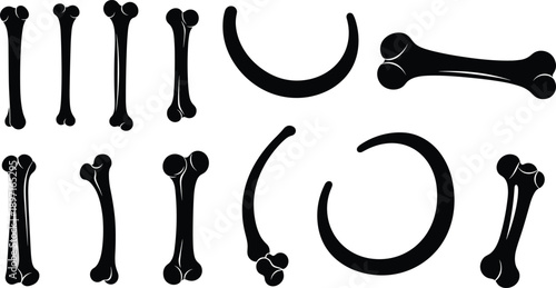 PrintSet of bone silhouettes featuring various animal leg bones and skeletal fragments for archaeological study dog treats paleontology concepts and anatomical halloween vector design