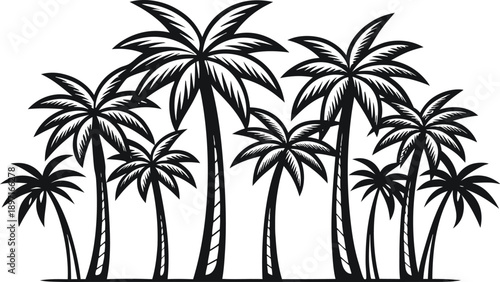 Black silhouette of a cluster of palm trees against white background
