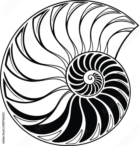 Black and white nautilus shell cross section spiral geometric pattern