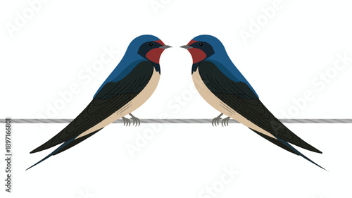 A minimalist illustration of two blue and black barn swallows perched side by side on a single horizontal gray wire (1)_traced