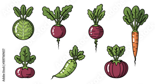 Vibrant collection of hand-drawn root vegetables, including radishes, carrots, and beets, showcasing fresh organic produce with green leaves on a white background, perfect for healthy eating concepts.