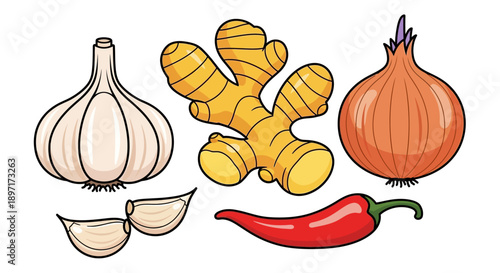 Colorful Cartoon Illustration of Fresh Garlic Ginger Onion and Red Chili Pepper.