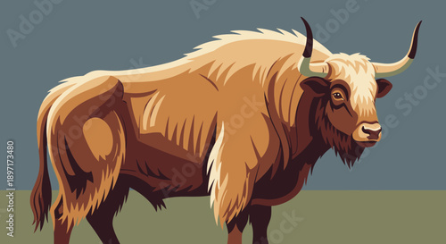 Illustration of a yak with a shaggy coat standing in a field.