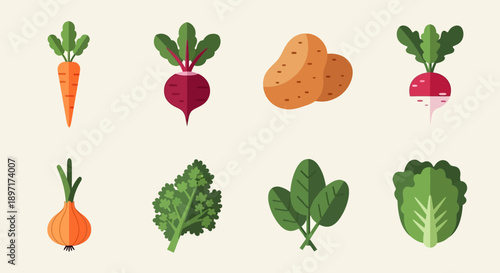 Assorted Vegetables and Root Vegetables Illustration.