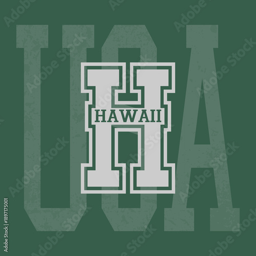 Retro typography university united states state vintage slogan print, 
highlighted grunge texture for graphic t-shirt or sweatshirt hoodie - Vector