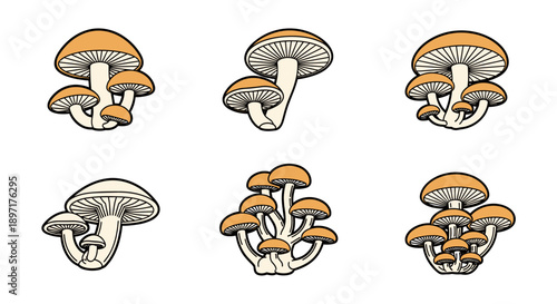 A collection of six distinct, hand-drawn mushroom illustrations featuring various clusters and individual fungi with brown caps and detailed gills, isolated on a clean white background.