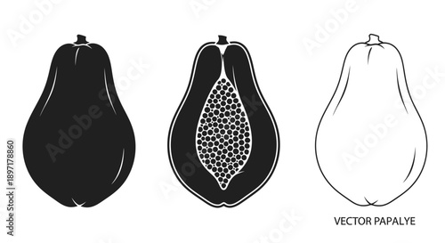 Vector illustration of papaya fruit in various styles on white background