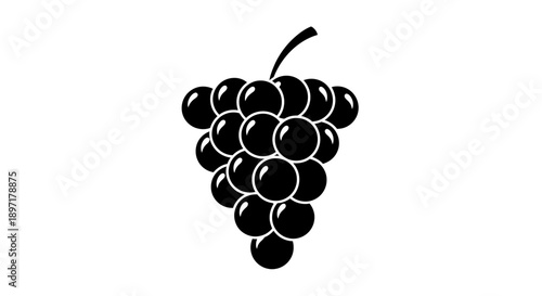 Vector illustration of a bunch of grapes hanging from a stem, depicted in a simple black and white style