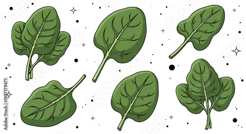 A vibrant collection of fresh spinach leaves, hand-drawn with intricate detail, illustrating healthy eating and organic produce with a clean, modern aesthetic.