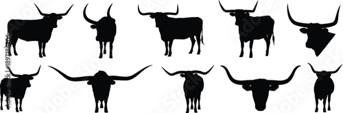 Ten black silhouettes of longhorn cattle showcasing diverse body and head positions on white bull