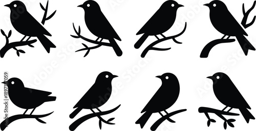 Black bird silhouette icon set, perched birds on branches, minimal vector illustration collection for nature design projects branding, logos, decals