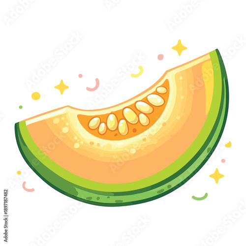 Slice of cantaloupe melon with seeds vector illustration